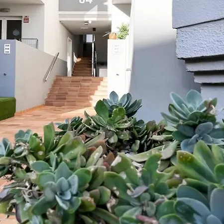 Apartment B-rent Sun 207 Pool View Corralejo